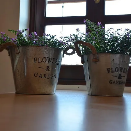 Apartament Finestra Medieval