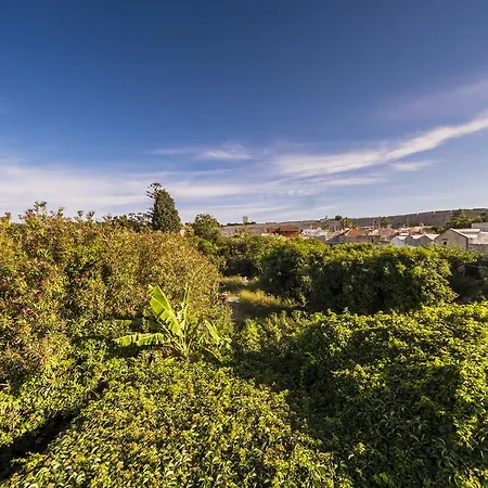 Finestra Medieval Apartman Rhodes City